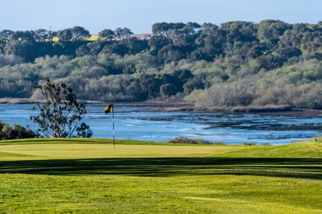 Green beside the slough at Pajaro Valley