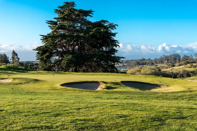 Cedar above a pair of greenside bunkers