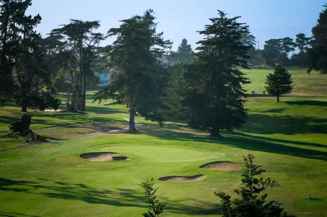 Bunkers beneath tall pines