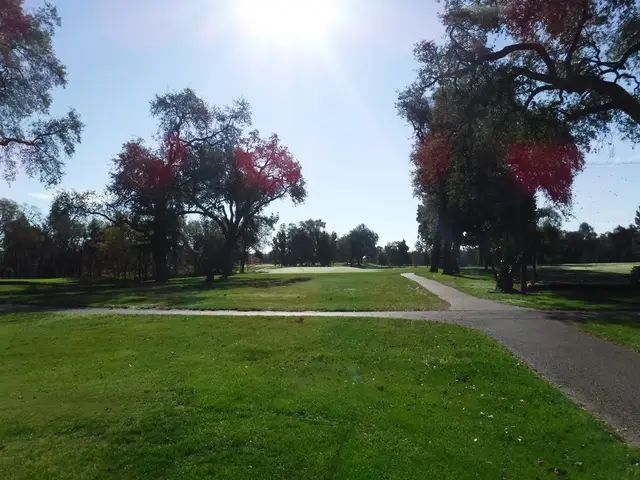 Fall trees along a fairway