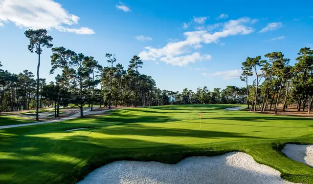 Bunkered green beneath tall pines