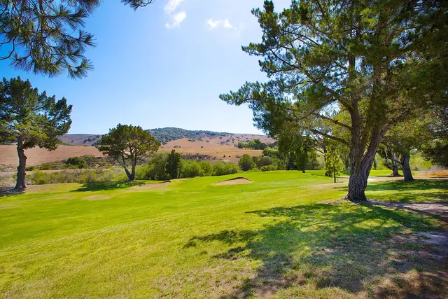 Pines along a fairway with the hills beyond