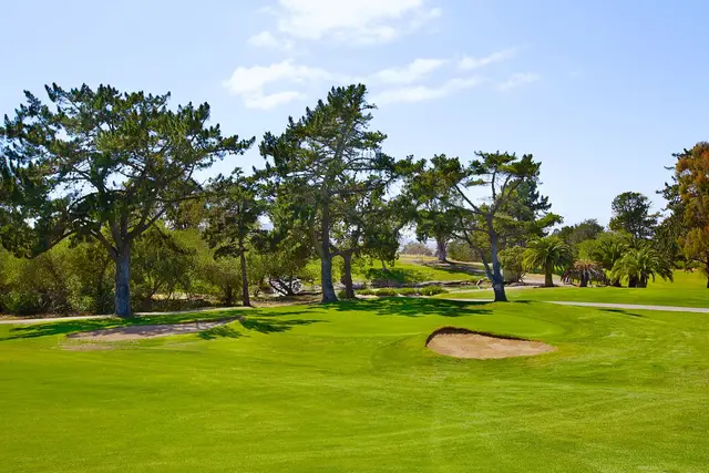 Green framed by pines