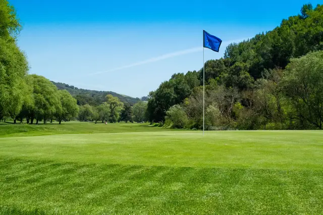 Flag on a green below the wooded hills