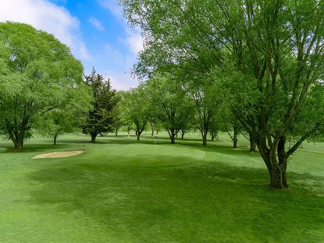 Trees lining a fairway in spring