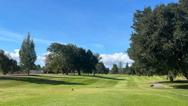 Mature trees along a fairway