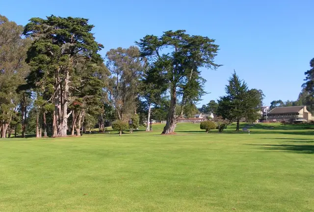 Cypress trees along a fairway at Seascape