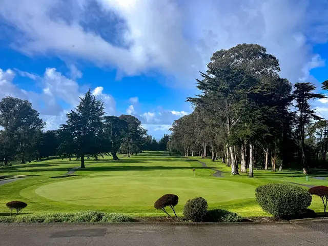 Green framed by Monterey cypress
