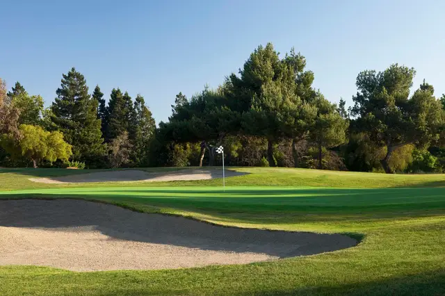 Greenside bunker beneath pines