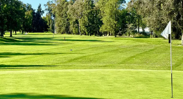 Tree-lined fairway at Buchanan Fields