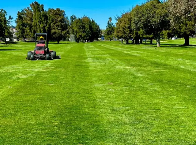 Freshly mown fairway stripes