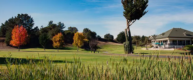 Autumn trees and reeds beside a fairway
