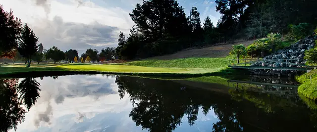 Pond reflecting the trees and sky