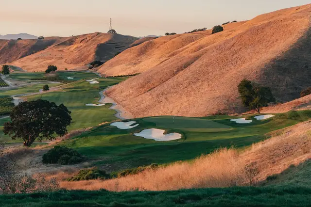 Green set among golden hills at Wente Vineyards