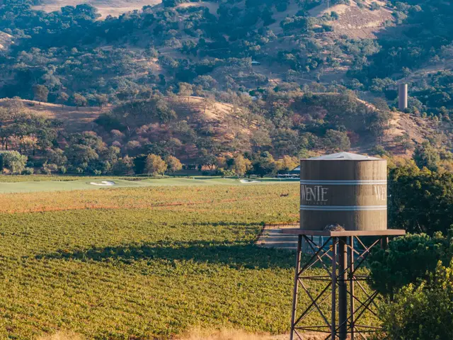 Wente water tower above the vineyard