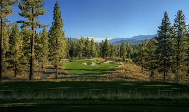Green framed by tall pines