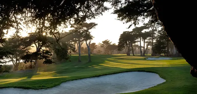 Morning light through the cypress trees at TPC Harding Park