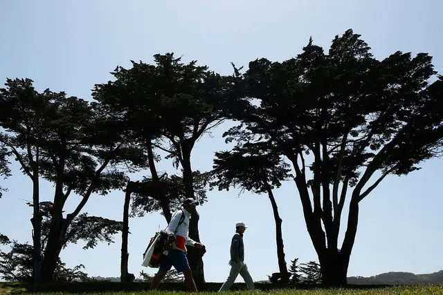 Golfers walking beneath silhouetted cypress trees