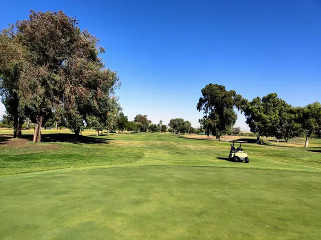 Shade trees along a fairway