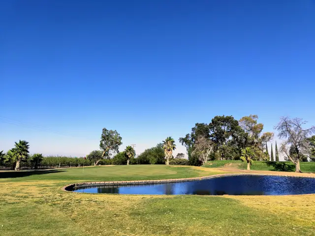 Pond below a palm-lined fairway
