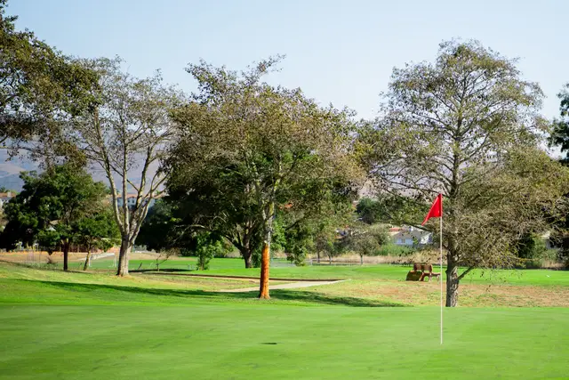 Flag on a tree-framed green at Twin Creeks