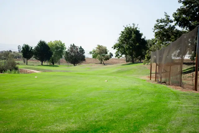 Fairway lined by trees
