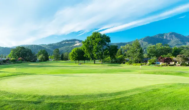 Green below the Sonoma Mountains at Valley of the Moon