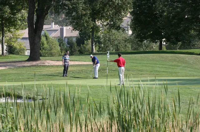 Golfers on a green beyond the reeds