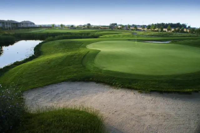 Bunkered green beside the water at Wild Wings