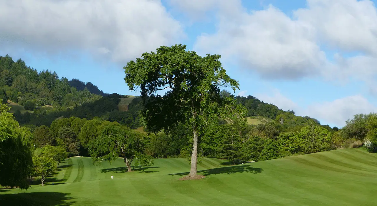 Indian Valley Golf Club golf course in Novato