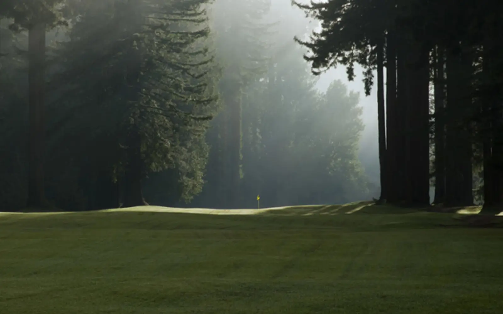 Northwood Golf Club golf course in Monte Rio