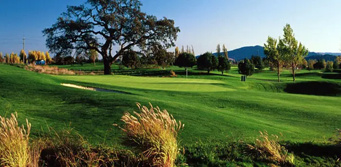 Rooster Run Golf Club