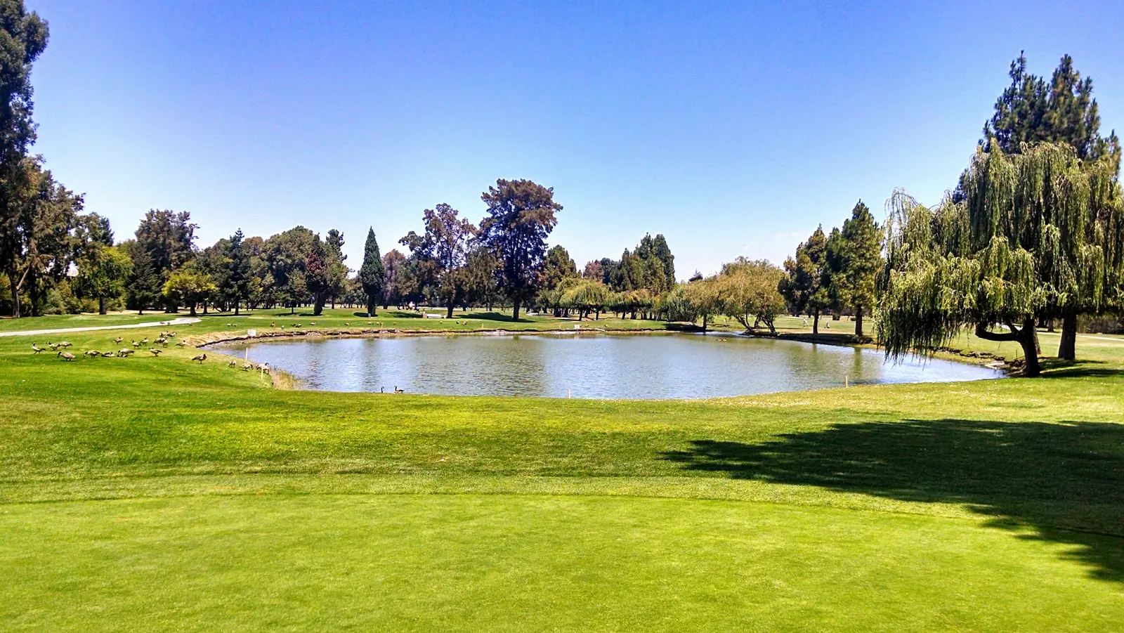 Sunnyvale Golf Course golf course in Sunnyvale