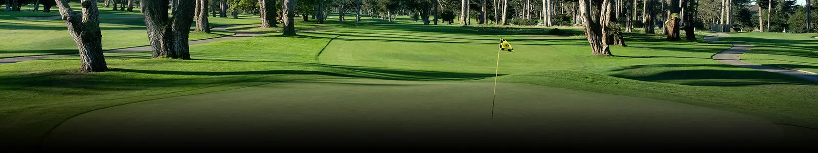 TPC Harding Park - Fleming 9 golf course in San Francisco