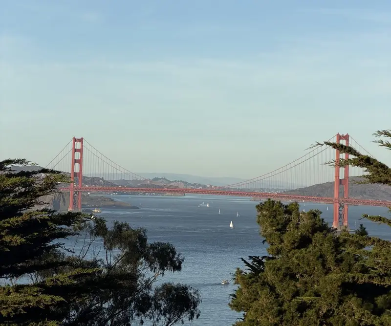 The Golden Gate Bridge framed by cypress trees over the bay
