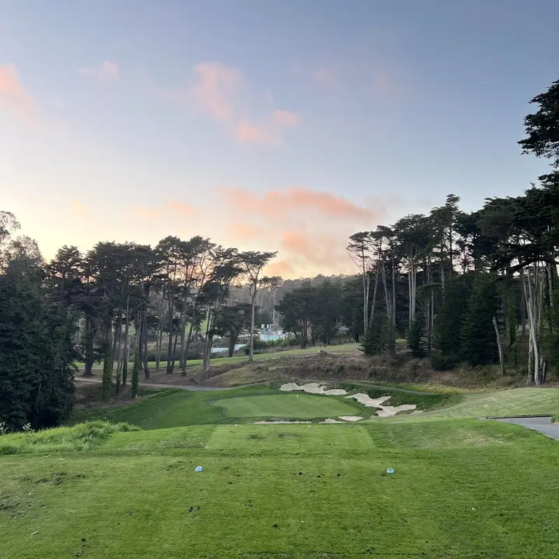 A par 3 green with bunkers below a pink sunset sky and tall cypress trees